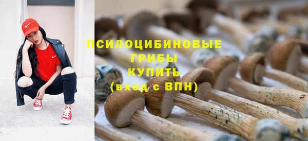 a pvp Дмитриев