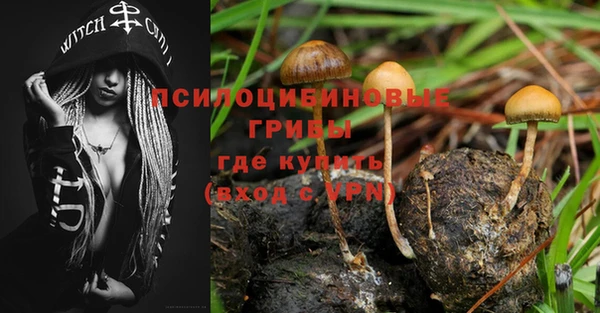 гашишное масло Дмитровск