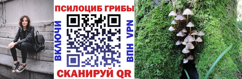 Галлюциногенные грибы MAGIC MUSHROOMS  Купить  Сенгилей 